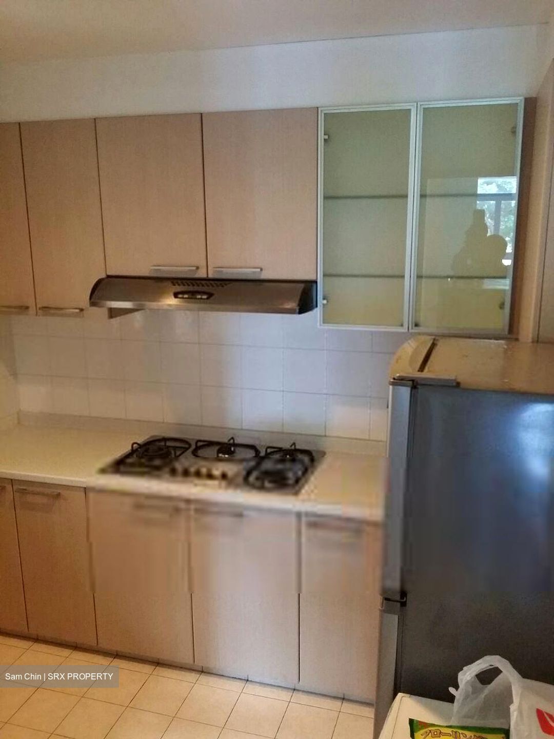 Sanctuary Green (D15), Condominium #632989091